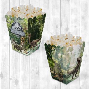 Popcorn Box