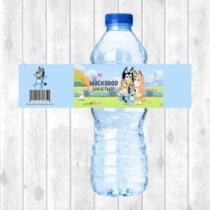 Water Bottle Sticker Sheet - Bluey (Design 1)