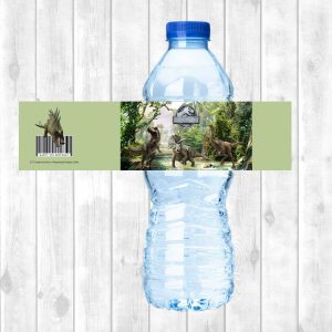 Water Bottle Sticker Sheet (Large)