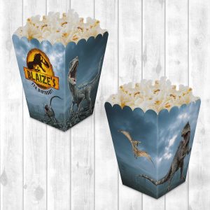 Popcorn Box