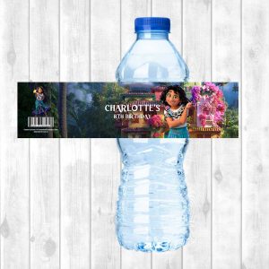 Water Bottle Sticker Sheet (Large)