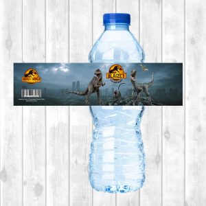 Water Bottle Sticker Sheet (Large)