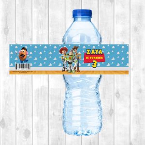 Water Bottle Sticker Sheet - Toy Story