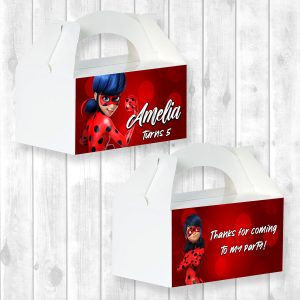 Large Gable Box Sticker - Miraculous Ladybug