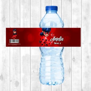 Water Bottle Sticker Sheet - Miraculous Ladybug