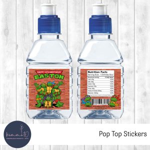 Pop Top Sticker Sheet - TMNT